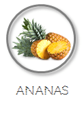 Kokoswasser Geschmack Sorte Ananas