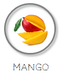 Kokoswasser Geschmack Sorte Mango